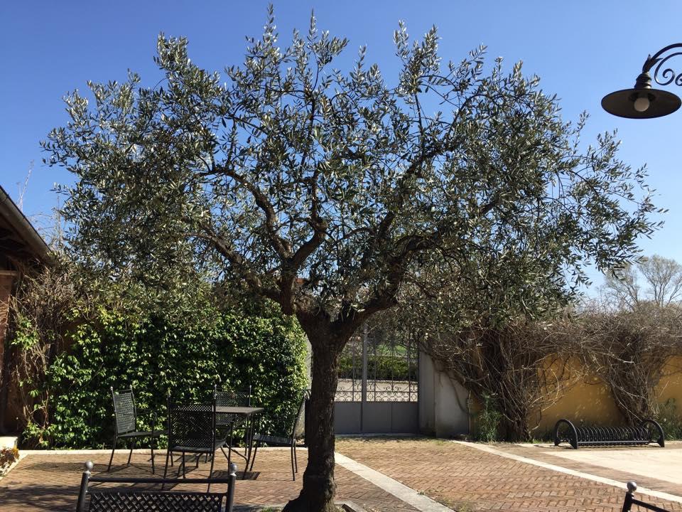 Agriturismo Macchiacupa Hotel Ariano Irpino Kültér fotó